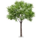 Ficus alii, plante artificielle