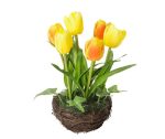 Tulipes jaunes en nid